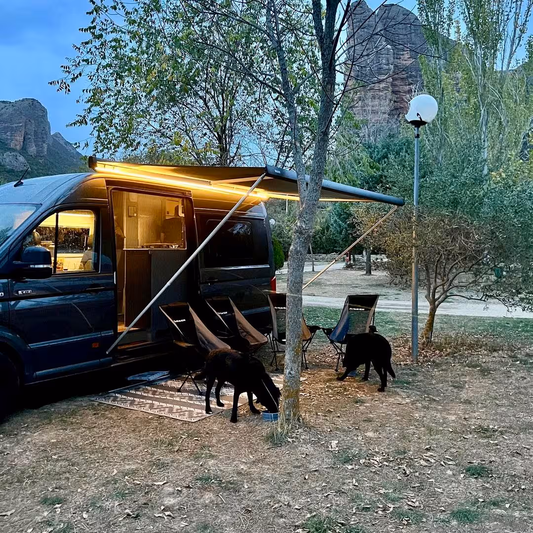 See Why People Love Our Outdoor Chairs